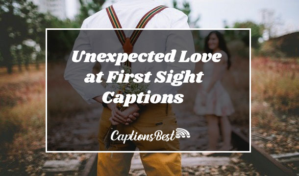 Unexpected Love at First Sight Captions