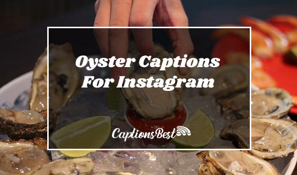 Oyster Captions For Instagram
