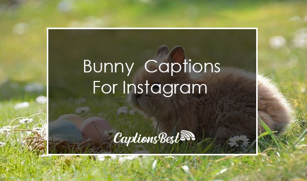 Bunny Captions For Instagram