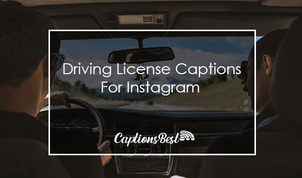 Driving License Captions For Instagram