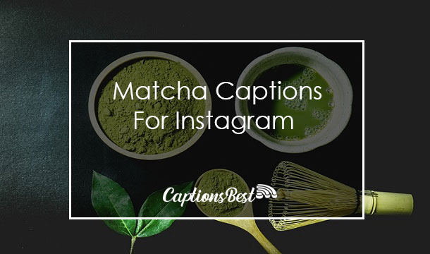 Matcha Captions for Instagram With Quotes
