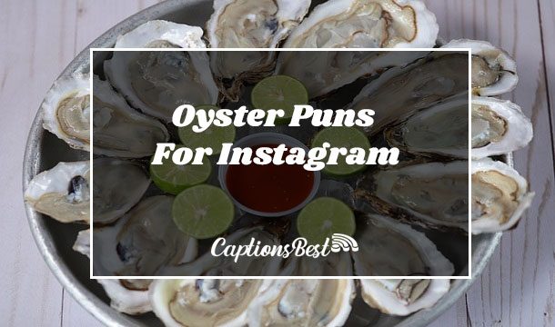 Oyster Puns For Instagram
