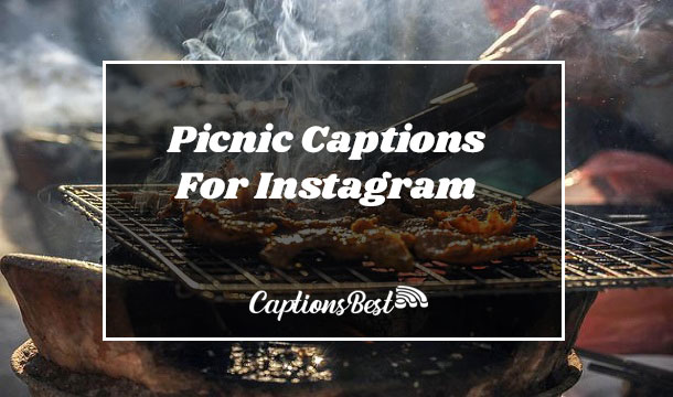 Picnic Captions For Instagram and Quotes