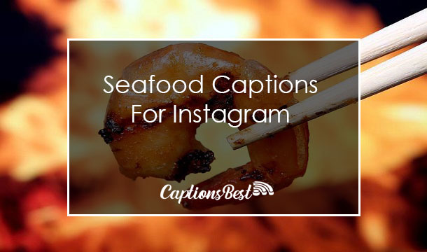 Seafood Captions for Instagram With Quotes
