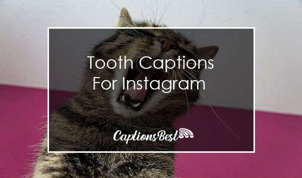 Sweet Tooth Captions for Instagram and Quotes