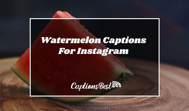 Watermelon Captions For Instagram and Quotes