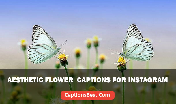 Aesthetic Flower Captions