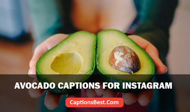 Avocado Captions for Instagram