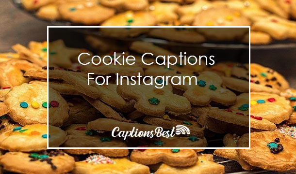 Cookie Captions for Instagram and Quotes