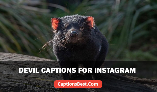 Devil Captions for Instagram