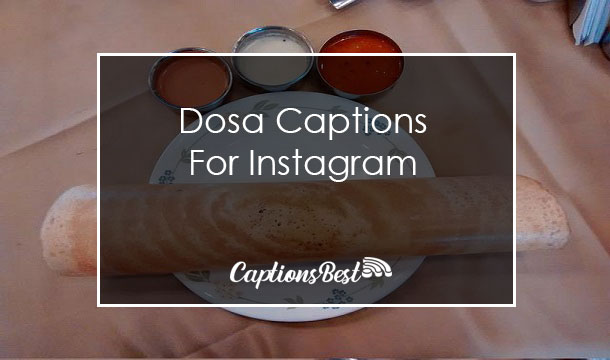 Dosa Captions for Instagram and Quotes