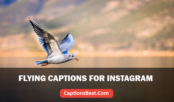 Flying Captions for Instagram