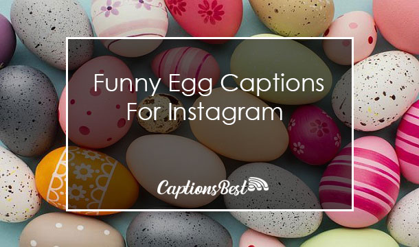 Funny Egg Captions for Instagram