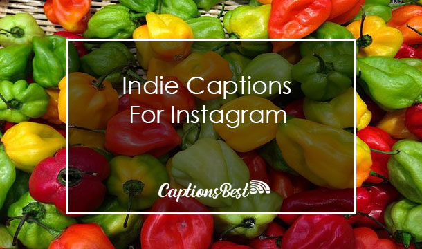 Indie Captions for Instagram With Quotes