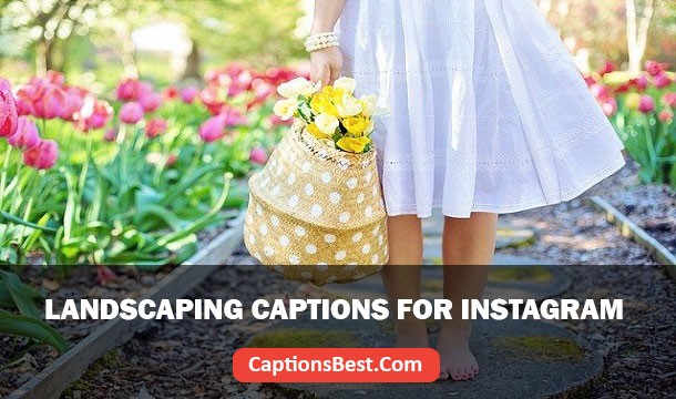 Landscaping Captions for Instagram