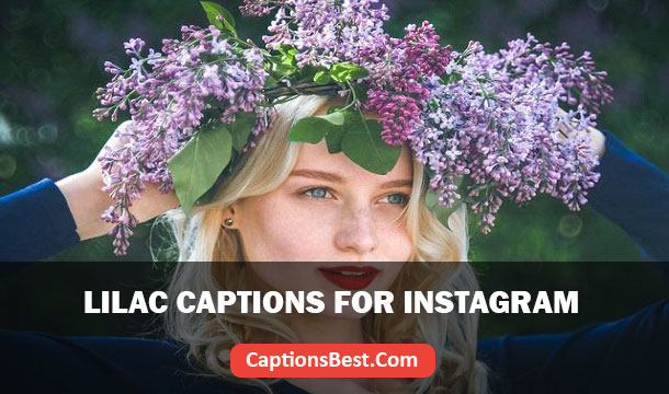 Lilac Flower Captions for Instagram