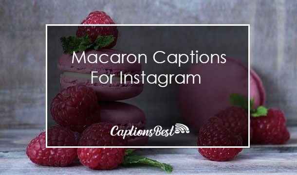 Macaron Captions for Instagram With Quotes