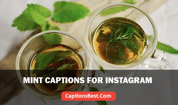 Mint Captions for Instagram