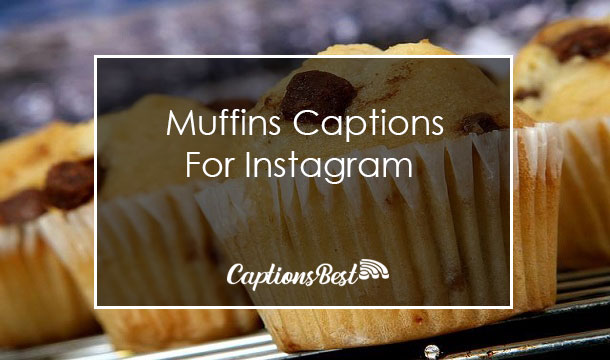 Muffins Captions for Instagram With Quotes