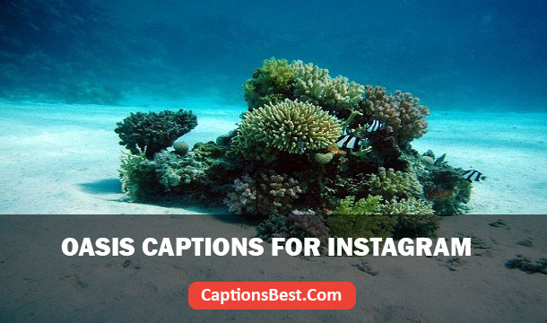 Oasis Captions And Quotes for Instagram