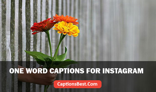 One Word Flower Captions for Instagram