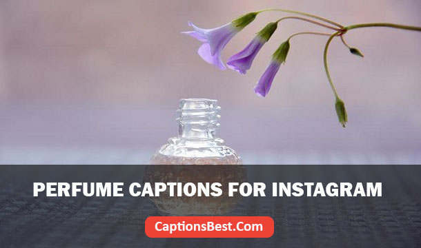 Perfume Captions for Instagram With Quotes