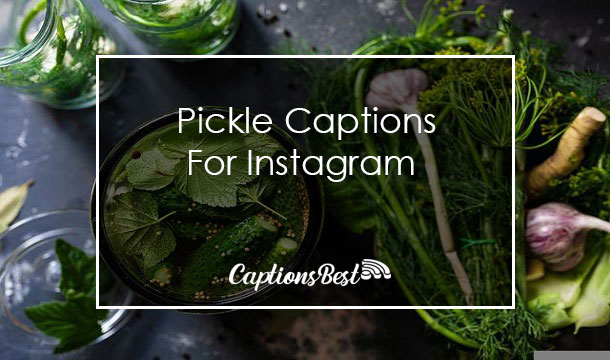 Pickle Captions for Instagram With Quotes