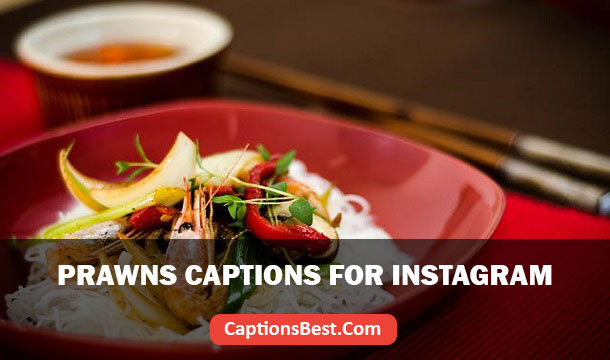 Prawns Captions for Instagram And Quotes