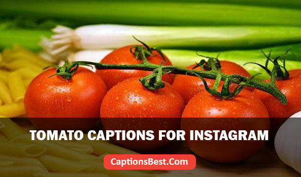 Tomato Captions for Instagram