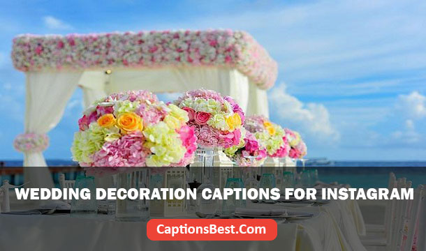 Wedding Stage Decoration Captions for Instagram