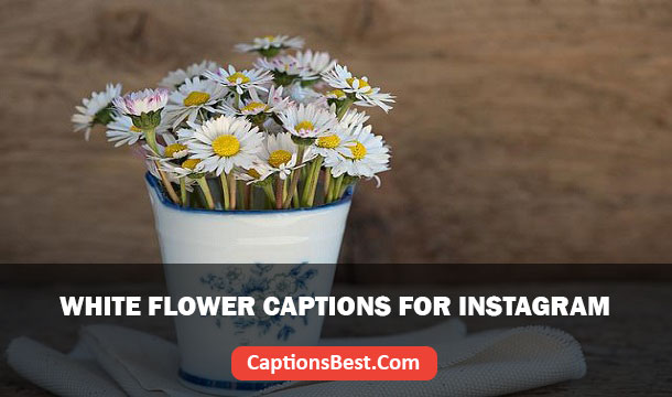 White Flower Captions For Instagram