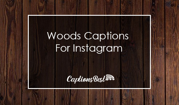 woods captions