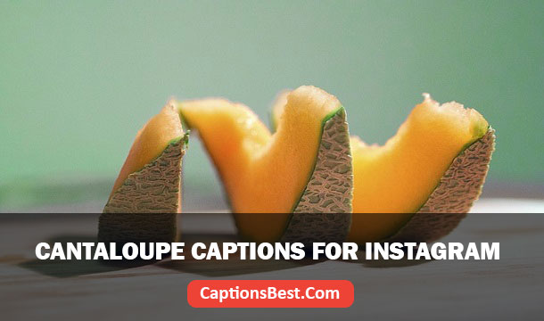Cantaloupe Captions for Instagram
