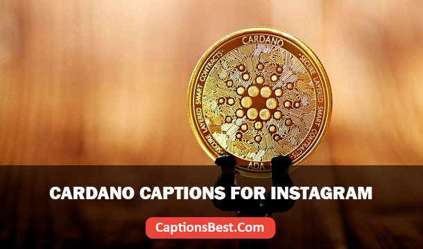 Cardano Captions for Instagram