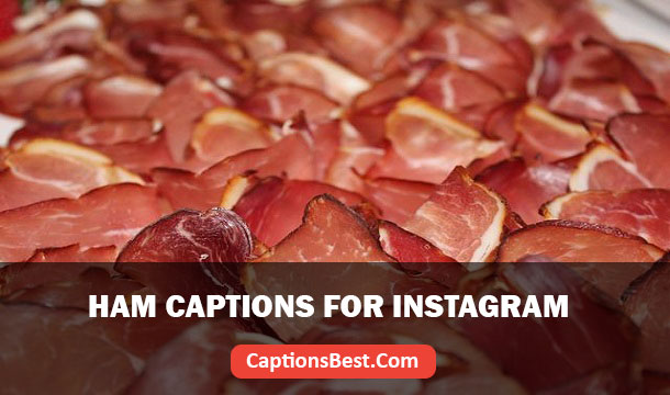 Ham Captions for Instagram