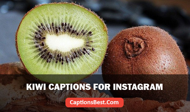 Kiwi Captions for Instagram