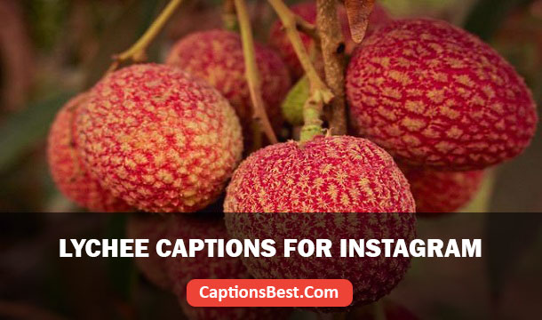 Lychee Captions for Instagram
