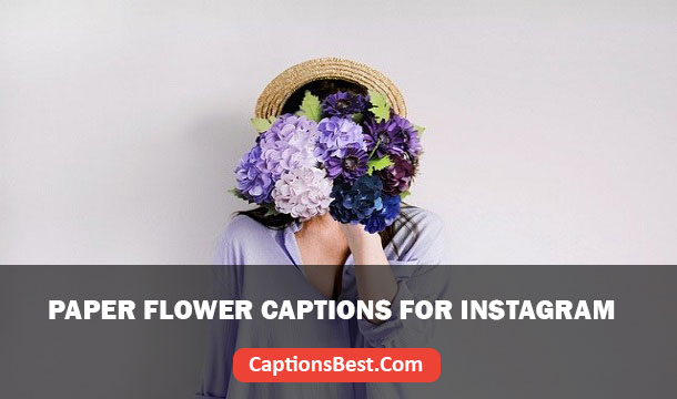 Paper Flowers Captions for Instagram