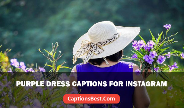 Purple Dress Captions for Instagram