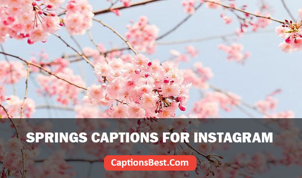 Springs Captions for Instagram