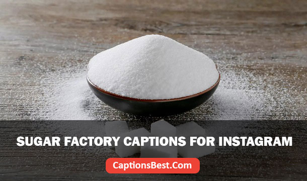 Sugar Factory Captions for Instagram