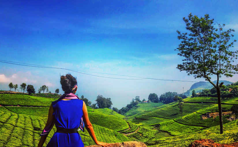 Coonoor Captions for Instagram And Quotes