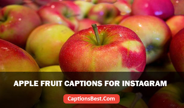 Apple Fruit Captions For Instagram