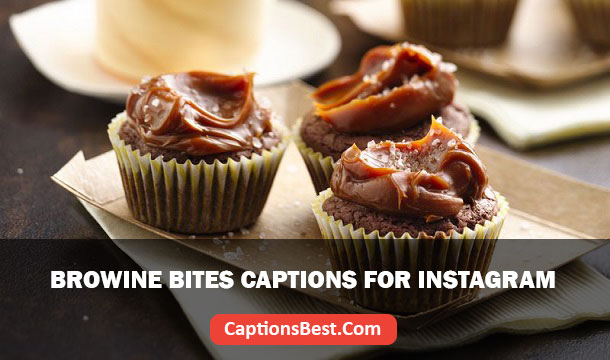 Brownie Bites Captions for Instagram