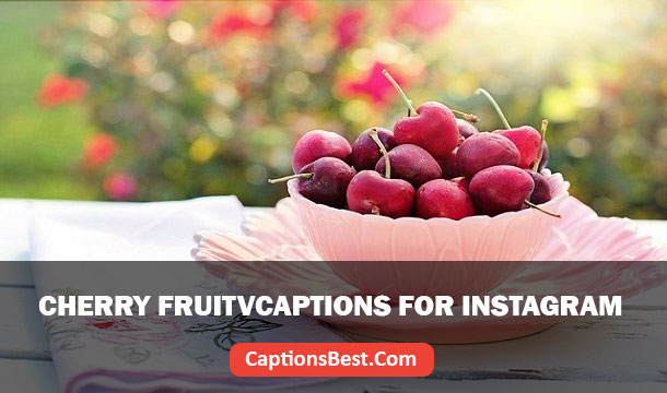 Cherry Fruit Blossom Captions For Instagram