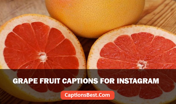 Grape Fruit Captions For Instagram