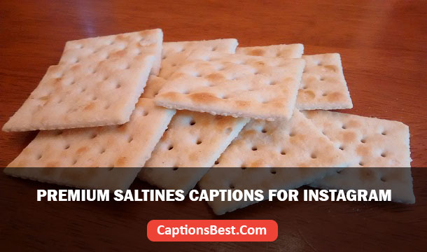 Premium Saltines Captions for Instagram