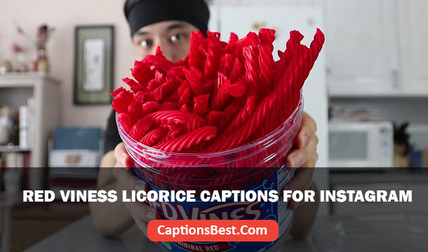 Red Vines Licorice Captions for Instagram