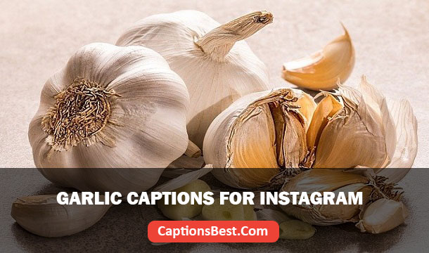 Garlic Captions for Instagram
