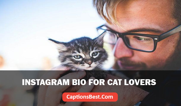 Instagram Bio for Cat Lovers